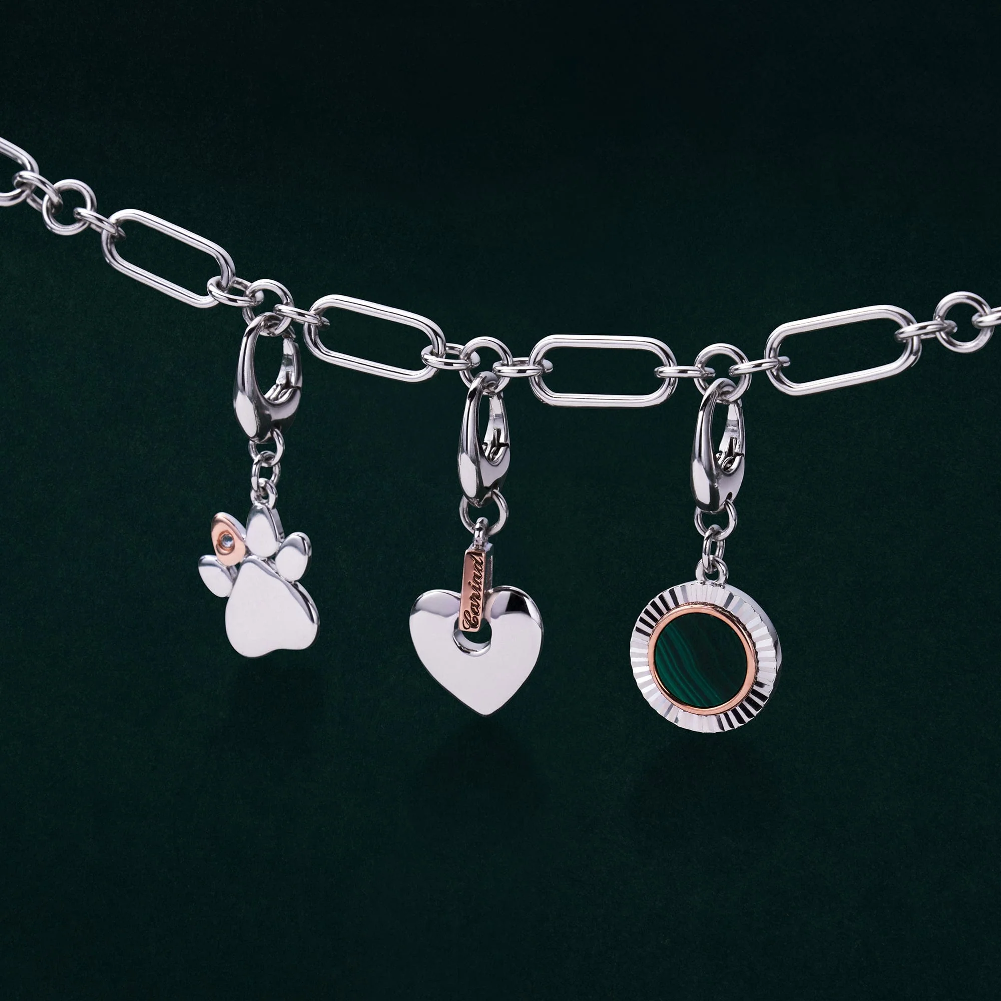 Tree of Life® Insignia Silver Padarn Charm - Image 3